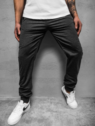 Ανδρικό παντελόνι φόρμας γραφίτη JS/XW006SZ