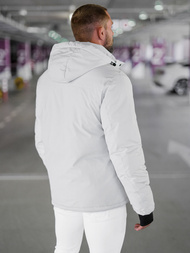 Ανδρικό χειμερινό μπουφάν ανοιχτό-γκρι OZONEE JS/91M9906/280