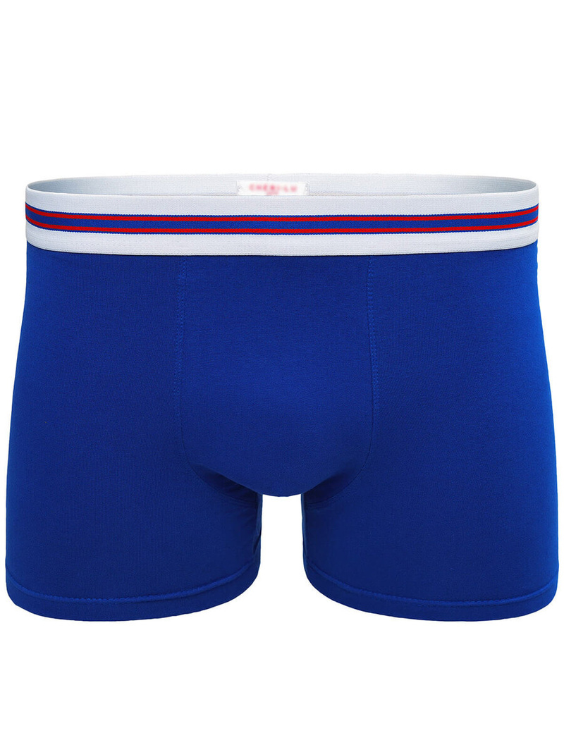 Ανδρικό μπόξερ μπλε OZONEE O/CG6010