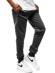 Ανδρικό παντελόνι φόρμας γραφίτη JS/XW001S