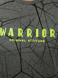 Ανδρικό μπλουζάκι γραφίτη OZONEE JS/SS10935