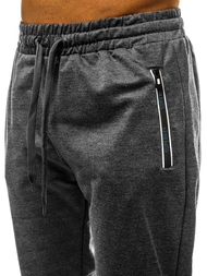 Ανδρικό παντελόνι φόρμας γραφίτη JS/XW001S