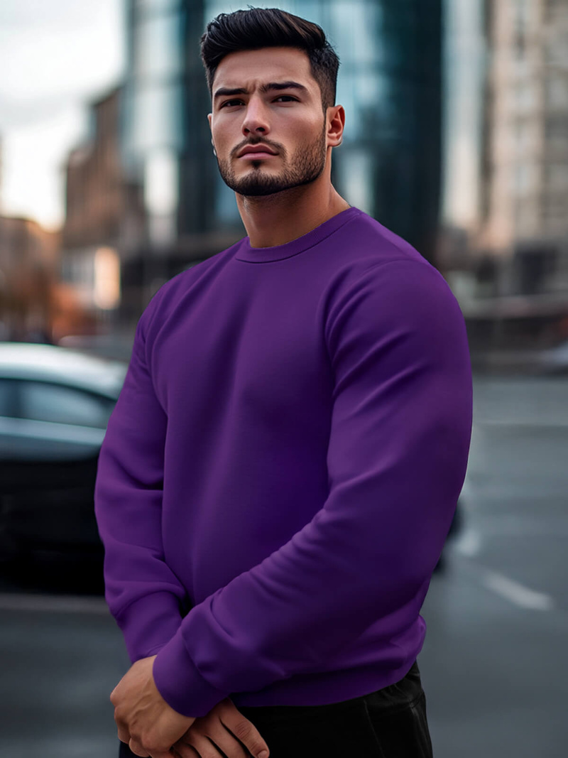 Ανδρικό Φούτερ μωβ OZONEE JS/2001-10Z